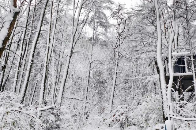 走！进山看西安2025冬天第一场雪！