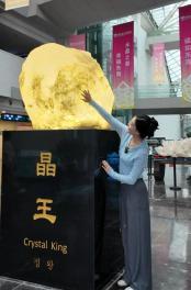 连云港这些“宝藏”，马上去“会”一下！