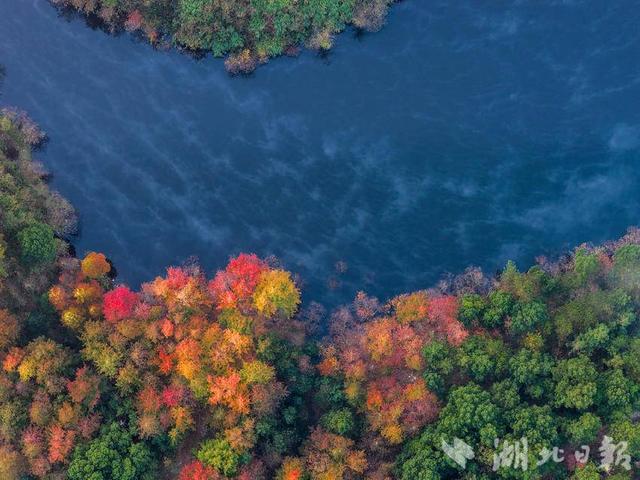 蕲春：碧水丹枫九潭湖