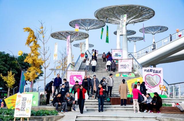 抢票式晒太阳！解码彭州“限量版暖阳”的私藏地图