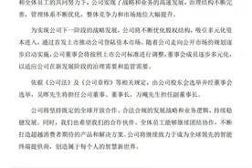 荣耀摸着华为过河图片