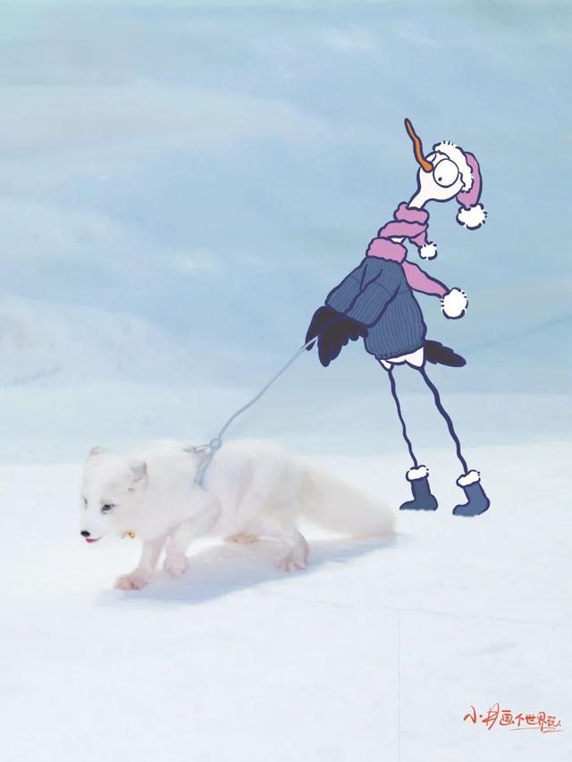 一秒入冬，雪狐奇遇！武汉市中心藏了个冰雪乐园