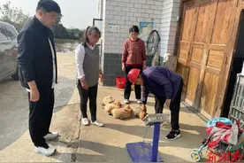 长沙轨道集团为“复胜”振兴添劲献力图片