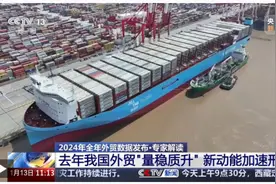 2024年我国外贸“量稳质升” 新动能加速形成图片