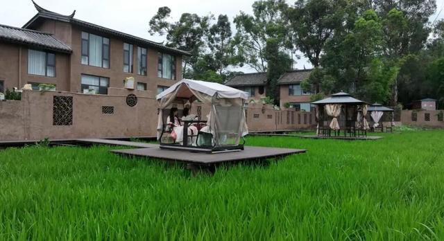 一巷千年韵，半庭旅居诗 | 四季康养·旅居楚雄