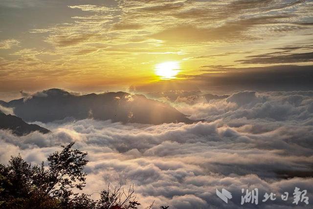 巴东绿葱坡：破晓烟云绘仙境