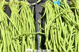 9元一斤！“豆橛子”实现华丽转身！图片