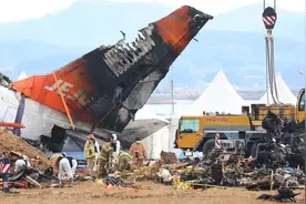 韩国最新确认：客机失事前遭遇鸟击图片