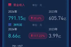 中集集团上半年归母净利超8亿，毛利率短期承压、现金流紧张图片