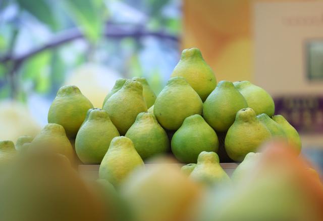 第1视点｜乡村振兴路 金柚正飘香