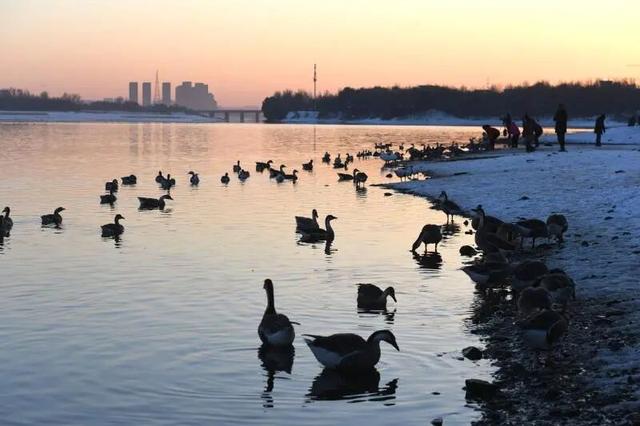 12月，必须来沈阳了！