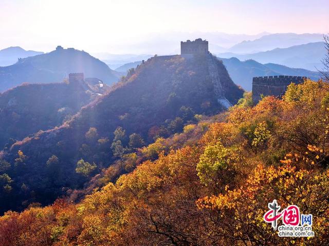 重阳时节登高金山岭，长城秋色尽显浪漫风情