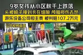 9岁女孩从荡椅跌落身亡，设备公司被判赔107.2万元，赔得不冤，教训更深刻！图片