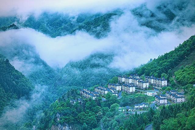 汤朔梅：我自向山行