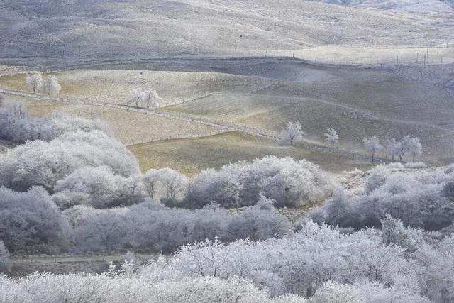 超出片！毕节冬日限定美景进入最佳观赏期