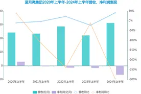“国内洗衣液一哥”光环不再，蓝月亮半年销售开支用掉七成营收图片