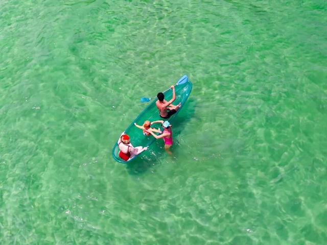 12月起，免费开放！深圳知名景区宣布