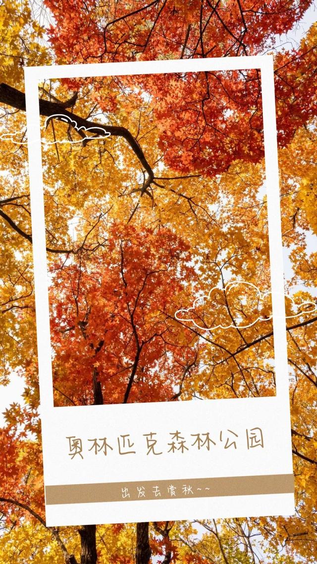 还在凑满减？这里的绝美秋景免费派送中——