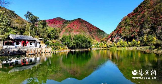 商南：以规划引领融合驱动打造“秦岭封面”全域旅游新图景