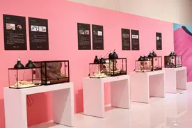 环球活体昆虫科普展在贵阳铁建城国际时尚发布中心举行图片