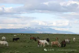 金融如何支持生物多样性保护？|《生绿》观察图片