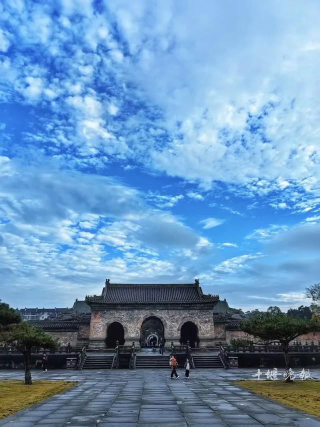 今早，在十堰拍下的！太惊喜了