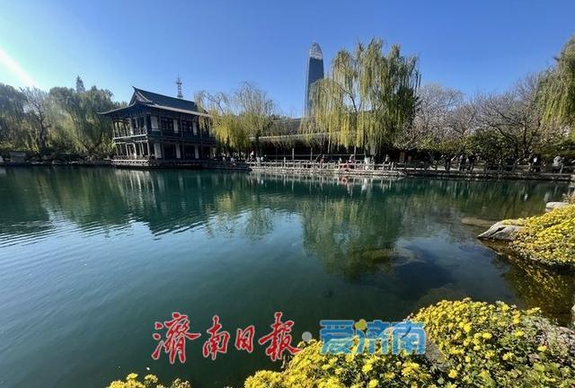 一年四季 泉在济南丨落叶绘“萌鹿”  济南五龙潭打卡冬日限定浪漫