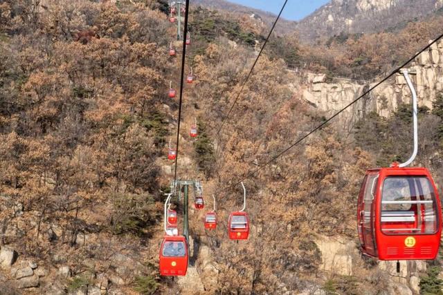 这个元旦，我在山东这样玩