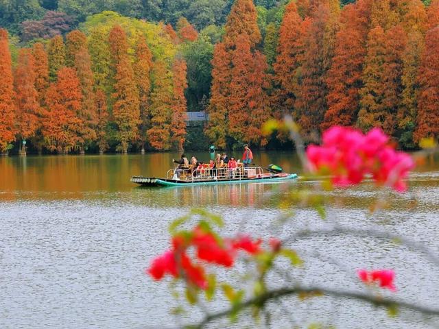 最近，星湖美景亮相广州！你发现了吗？