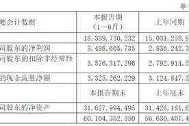 福耀玻璃上半年净利润34.99亿同比增逾两成，创历史新高图片