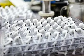 小山村里有了“科技范儿”图片