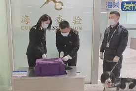 重庆江北机场海关查获6袋肉制品，包括冷冻牛肉、牛肚、羊肉等图片