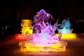 哈尔滨华德学院：做强银色育人文化品牌 服务龙江冰雪经济发展图片