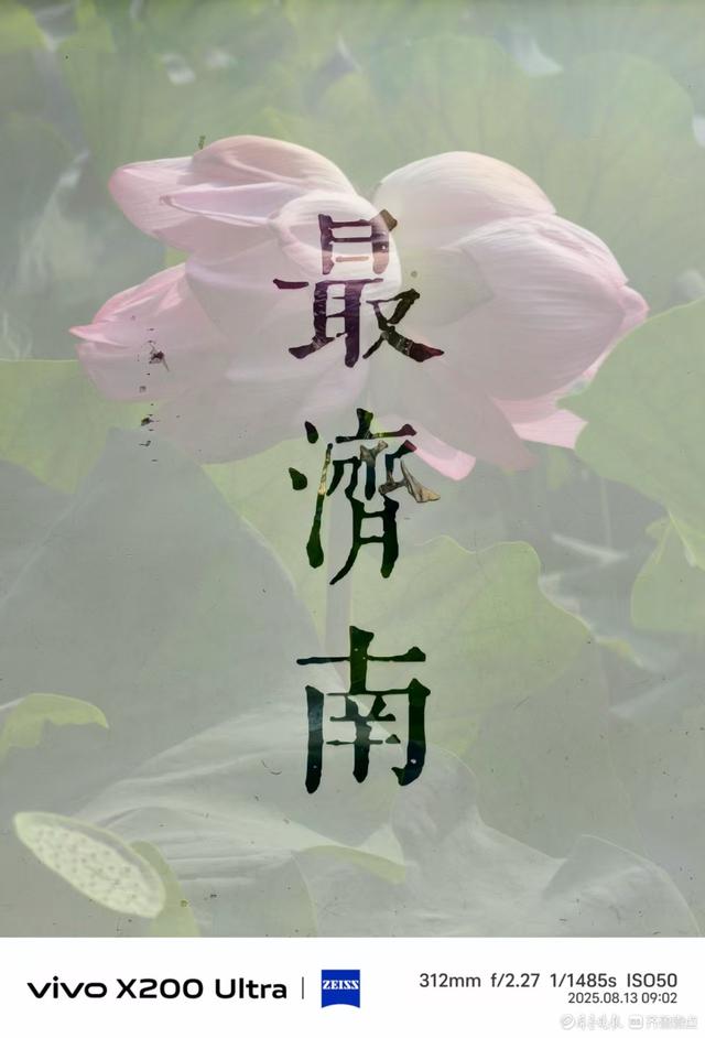 泉城公园并蒂莲花，我在记录