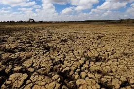 好收成碰上“厄尔尼诺”，2024年全球粮食危机会持续吗？图片