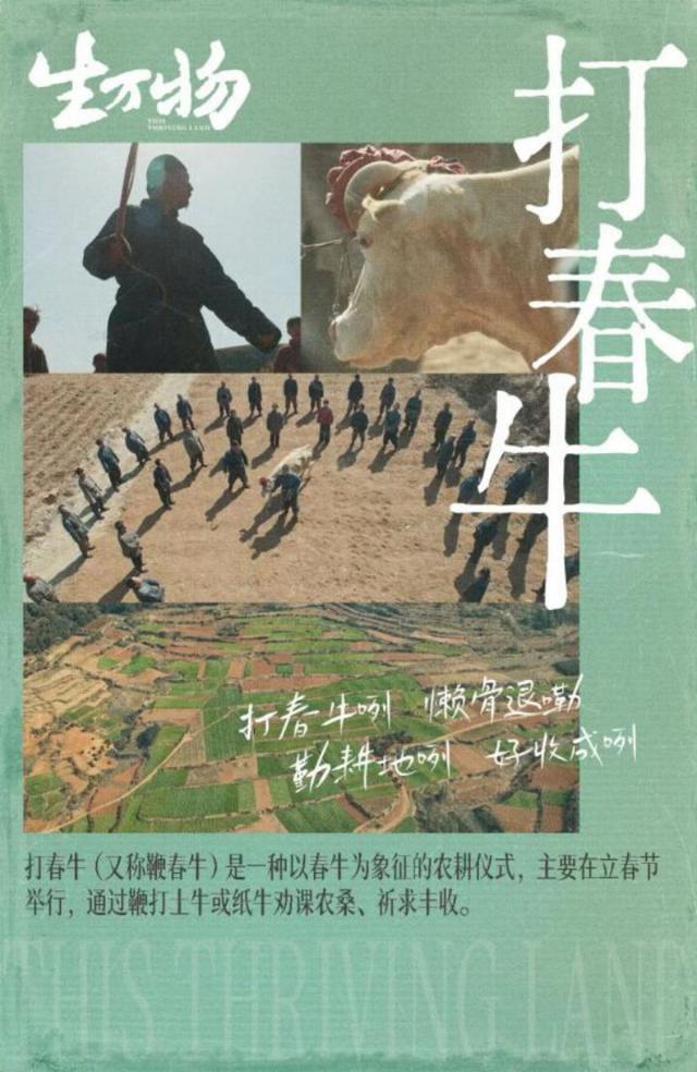 电视剧《生万物》到底哪里吸引人