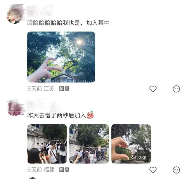 突然爆火！就在福州市中心！很多人从外地赶来打卡
