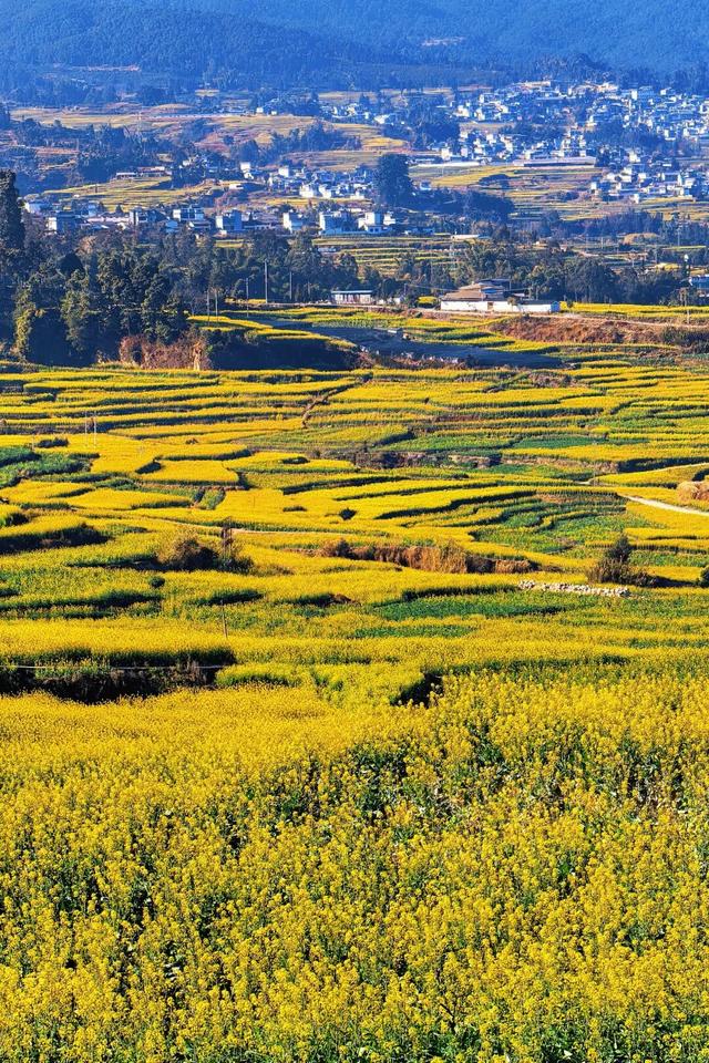 席位满员 开赛在即｜与临翔的春天，只差一个起跑的距离