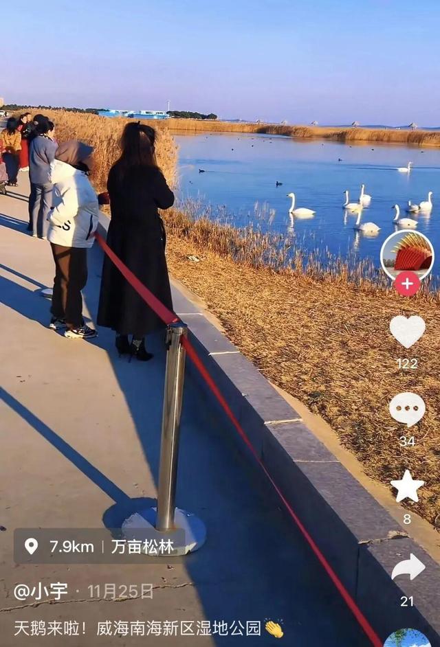 南海新区：碧海旭日天鹅舞