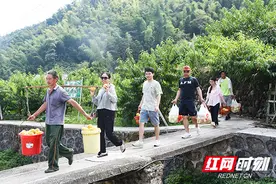 丰收季丨新邵：清水黄桃迎丰收 甜蜜上市助振兴图片