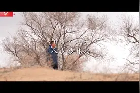 时政微视频丨新时代青年志：80后治沙人图片