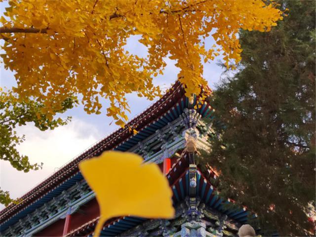 秋游武威正当时，寻迹丝路古城秋韵