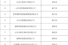淄博42家企业（园区）入选2024年市级绿色制造名单图片