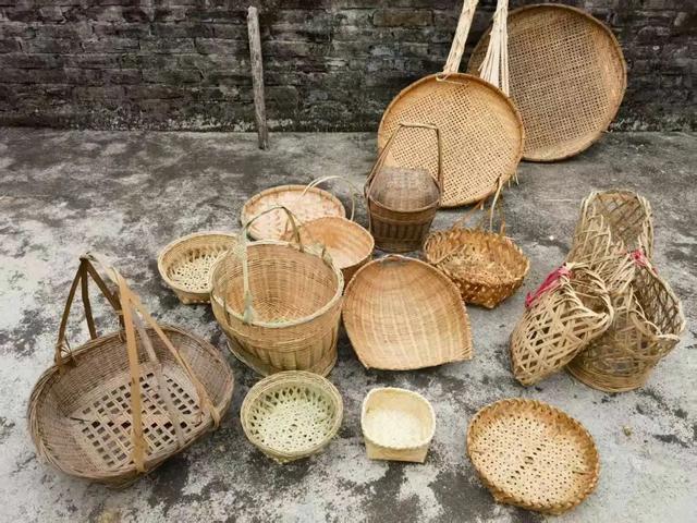 “革命红、生态绿、科技蓝” 四会这个镇研学之旅可不简单！