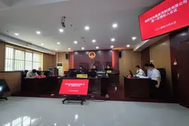 ​优化营商环境丨昔日“凤凰”振翅复飞图片