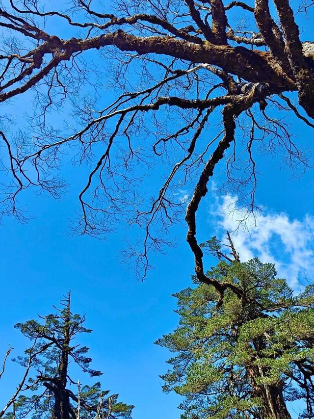 不是我说，这样的日照金山就没人心动？