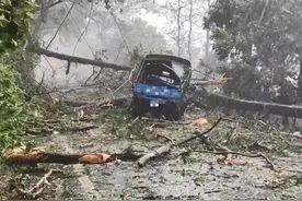 台气象部门解除台风警报，“康妮”在台已致3死200多伤图片