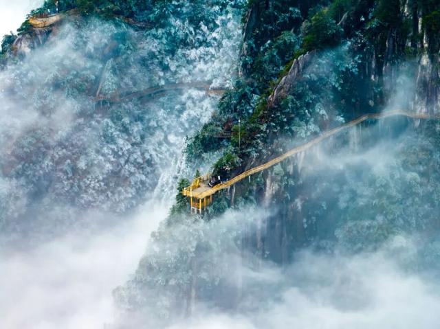 山称明月好，月出遍山明