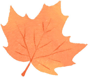 红叶地图出炉，闵行限定秋景就在→