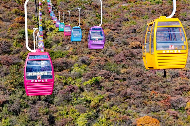 坡峰岭红叶进入最佳观赏期，近万米登山步道已全面开放